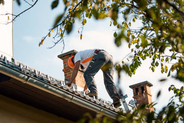 Best New Roof Installation  in Silver Springs, FL
