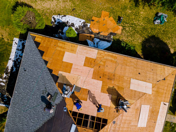 Best Residential Roofing Contractor  in Silver Springs, FL
