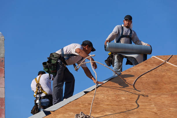 Best Gutter Installation and Roofing  in Silver Springs, FL