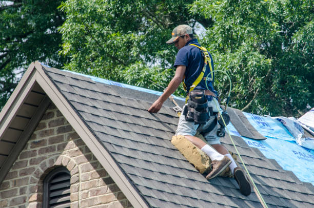 Best Storm Damage Roof Repair  in Silver Springs, FL